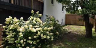 2912 Shadow Lane Gallery 43