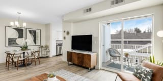 Sofi Danvers Gallery 2