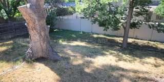 447 W Swallow Road Gallery 13