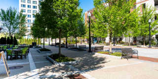 Quincy Commons Gallery 42