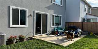 PET FRIENDLY Gallery 11