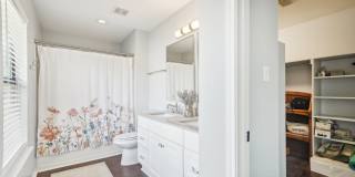 39 Longleaf Coral Gallery 25