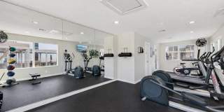 Treehouse Gallery 24