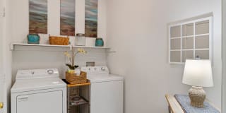 Bradford Place Apartment Gallery 11