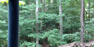 1 Bed Apartment super close to UNC campus! Quiet neighborhood & feels like living in a Tree House! 1 Bed Apartment super close to UNC campus! Quiet neighborhood & feels like living in a Tree House! Gallery 1