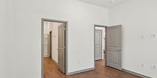 The Sophia Gallery 65