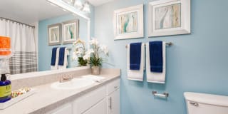 Venue at Winter Park Gallery 31