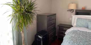 Anchorage downtown Condo! Walk or bike to work! Gallery 82