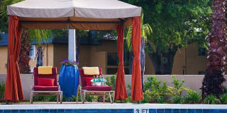 Bella Terraza Gallery 212