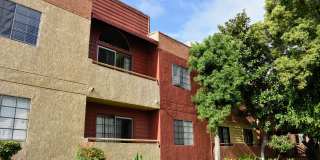 1010 Raleigh Apartments Gallery 2