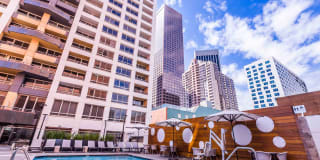 Museum Tower Gallery 15