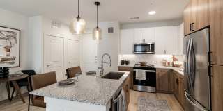 Cortland at Castle Hills Gallery 1