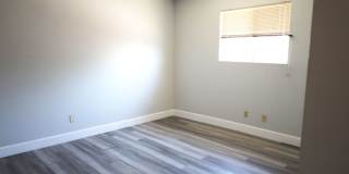 E. Cartier Ave 1309 Gallery 16
