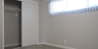 Redwoods Gallery 24