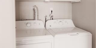 The Davenport Gallery 24