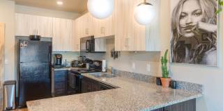 Juniper Sands Gallery 1
