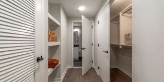Fitzroy Gallery 26
