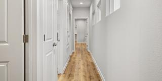 505 Linden Gallery 24