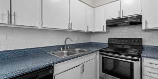 Maverick on Gilmer Gallery 17