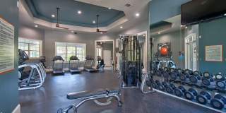 Cortland Duluth Gallery 21