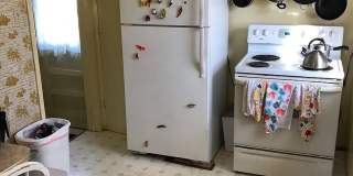 Tejon - GN Gallery 6