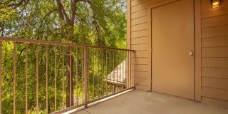 The Arboretum Apartments Gallery 12