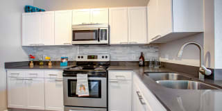 Ironhorse at Tramonto Gallery 17