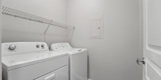 The Milano Gallery 26