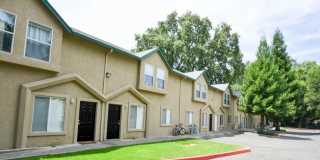 Hidden Oaks Gallery 1