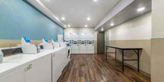 Deerfield Beach Gallery 14