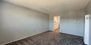 Summer Woods Gallery 18