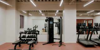 Ray Philly Gallery 11