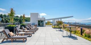 Ion Queen Anne Gallery 13