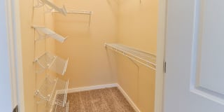 The Fenimore Gallery 24