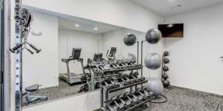 Ironwood Gallery 17
