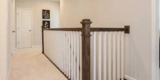 1817 Honey Milk Road Gallery 26