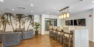 Paraiso at Fountain Square Gallery 33