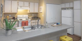 Village at Cascade Park Apartments Village at Cascade Park Apartments Gallery 3