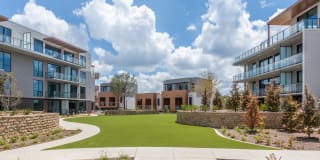 The Village Drey Gallery 1