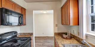 Golden Crest Gallery 4