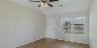 23 Green Apple Gallery 4