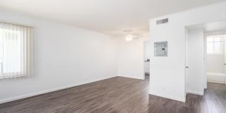 Juniper at Westlake Gallery 4