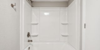 Buena Vista Gallery 19