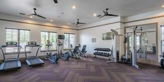 Tradewinds Apartments Gallery 11