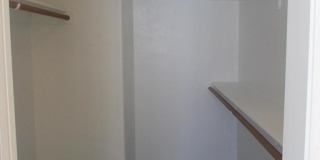 3777 N Camino Leamaria Gallery 10