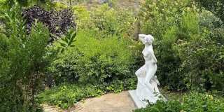 Azari PM-Juccuzi- half acre luxurious landscape-fully chic furniture -  massive lot , 18 fruit tree - Juccuzi - short term or long term - furnished or unfurnished - Massive Lot, Private Cul-de-sac location, Ocean Views Grandeur Gallery 32