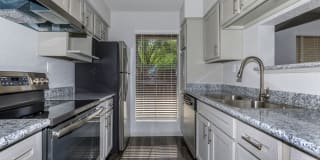 Harbor Walk Gallery 8