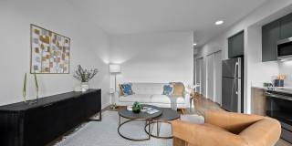 Strata Gallery 11