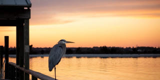 (W314) 1 Crane Street Unit A Wrightsville Beach, NC 28480 Gallery 46