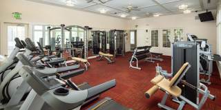 Evander Square Gallery 20